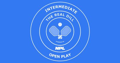 Friday Night Intermediate Open Play